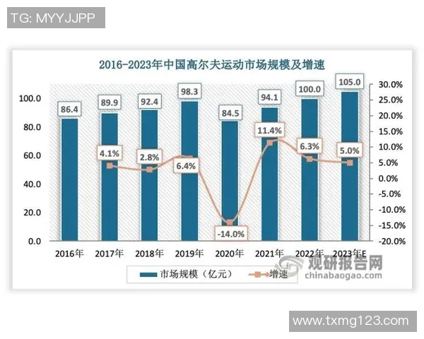 上海排球队意识对比深度解析与发展趋势探讨 上海排球队意识对比深度解析与发展趋势探讨