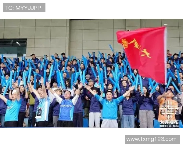 2017年辽宁足球队主场激情四溢的比赛回顾与球迷热情互动的精彩瞬间