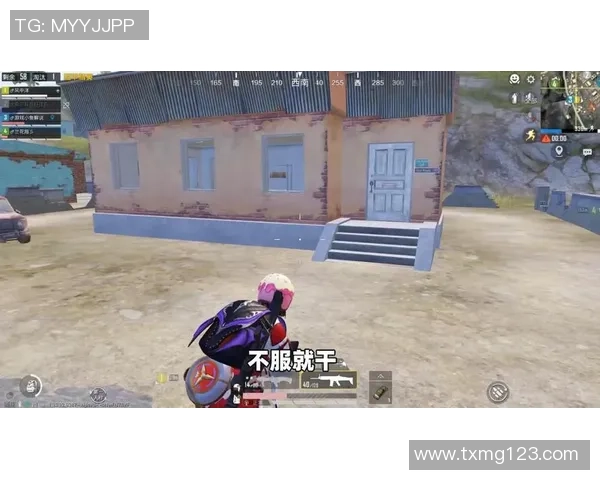 探寻和平精英成功背后的秘密与杨伟的独特见解