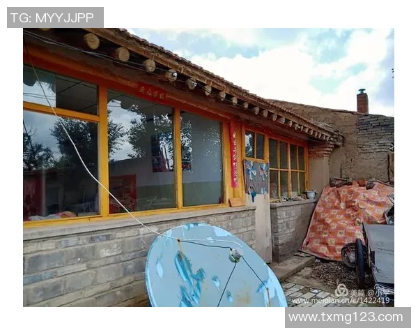 足球许还山的梦想与现实交织下的青春追逐与坚持