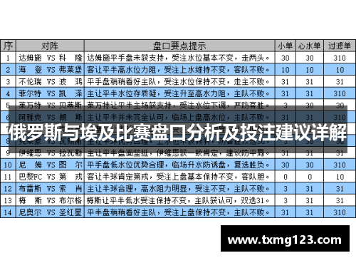 俄罗斯与埃及比赛盘口分析及投注建议详解