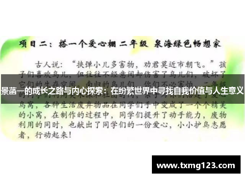 景菡一的成长之路与内心探索：在纷繁世界中寻找自我价值与人生意义